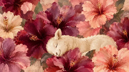 Sleeping Lamb, cute desktop wallpaper