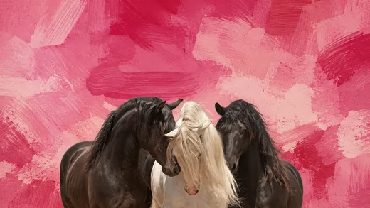 Three Horses in Pink, pink desktop wallpaper